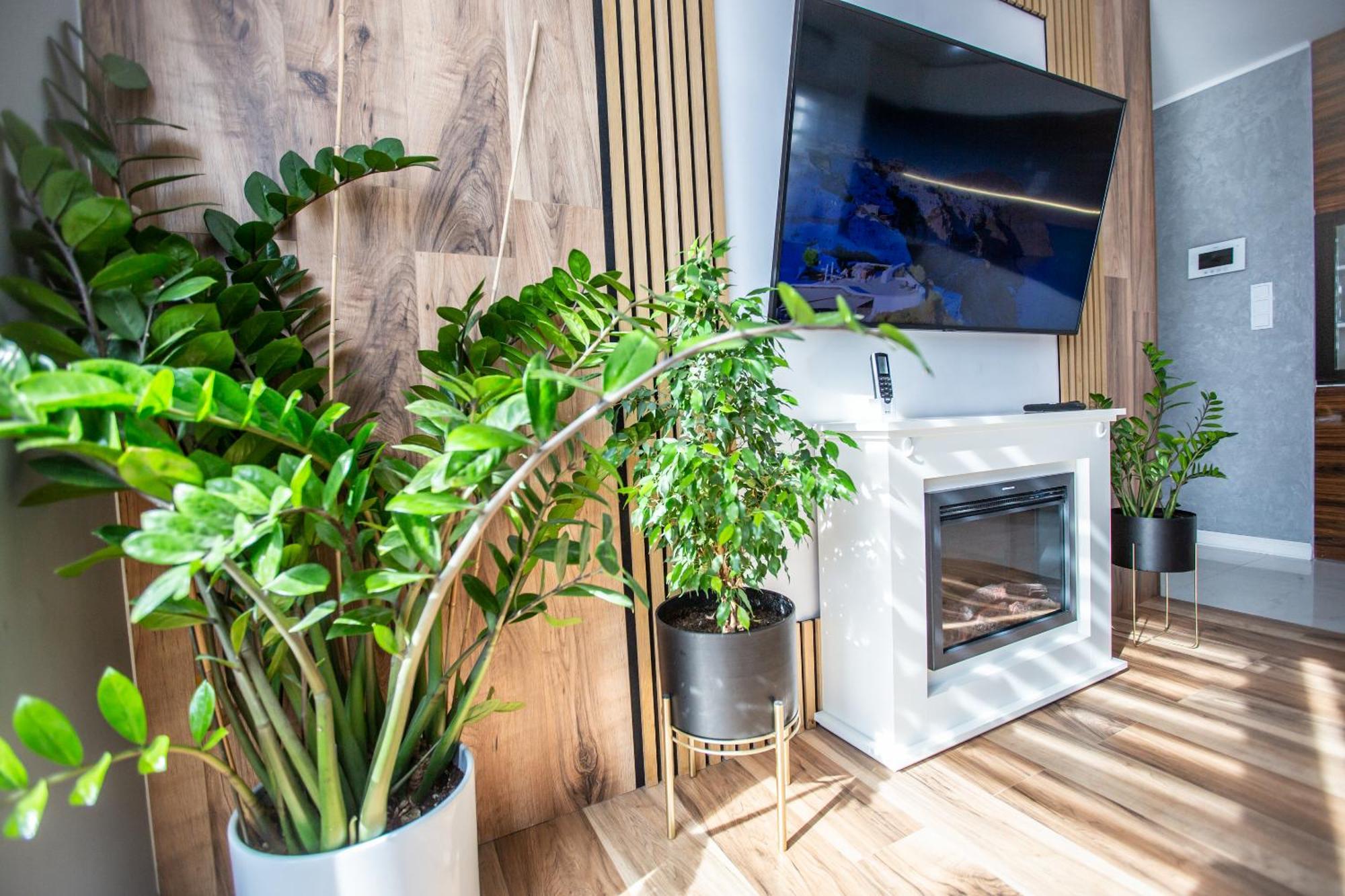 Wlodarska 4A Apartament Premium Krakau Buitenkant foto